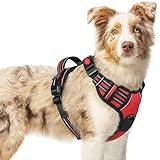 [最新型犬ハーネス]rabbitgoo 犬 ハーネス 犬用胴輪 小型犬/中型犬/大型犬 引っ張り防止 サイズ調整可能 アタマを通さず 夜間反射材 抜けない 通気性 咳き込み防止 歩行補助ハーネス 老犬 介護用品 散歩 しつけ用 ソフト 抜けない 通気性 簡単着脱 おしゃれ 安全 しつけ用 訓練 歩行補助 散歩(レッド M）