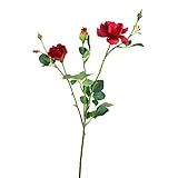 ローズスプレーX5(L) FXFR0010A/B