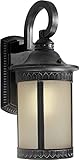 Forte Lighting 17022-01-64 Exterior Wall Light with Umber Seeded Glass Shades, Bordeaux [並行輸入品]
