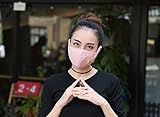 Miyare 洗える 繰り返し使える 立体タイプマスク PM2.5対応可能 コットン100％ 5枚セット