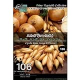 [ 西洋野菜 種 ] 玉ねぎ ロッサ ルンガ ディ フィレンツェ