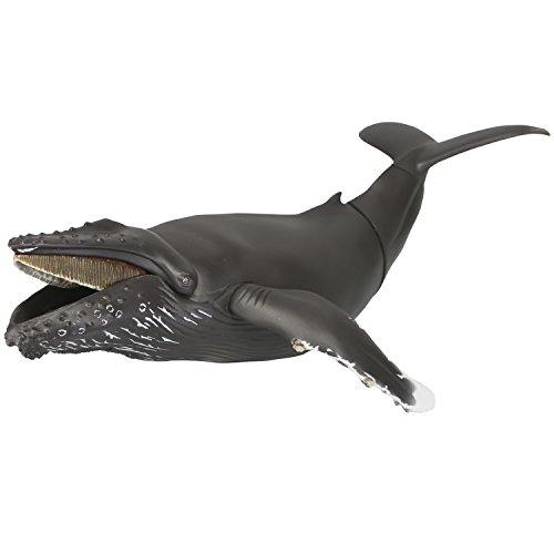 Kaiyodo Soft Vinyl Toy Box 013 Whale Humpback Whale Non Scale