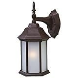 Acclaim 5182BW/FR Craftsman 2 Collection 1-Light Wall Mount Outdoor Light Fixture, Burled Walnut [並行