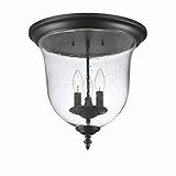 Acclaim 9315BK Belle Collection 3-Light Ceiling Mount Outdoor Light Fixture, Matte Black by Acclaim