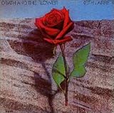 ���Ǝ��̌��z