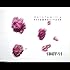delofamilia「filament/fuse」