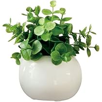 光触媒　人工観葉植物　ウォールグリーン　フェイクグリーン　ユーカリポット180 光触媒 人工観葉植物 ウォールグリーン フェイク フラワー