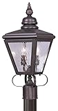 Livex Lighting 2032-07 Outdoor Post with Clear Water Glass Shades, Bronze [並行輸入品]