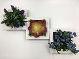 フェイクグリーン 光触媒加工 観葉植物 インテリア 3種セット 造花 壁掛け 置物 グリーン 癒し 額縁 模様替え 簡単 人工観葉植物 ( Bタイプ )