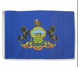 12X18 12X18 State Of Pennsylvania Sleeve Flag Boat Car Garden [並行輸入品]