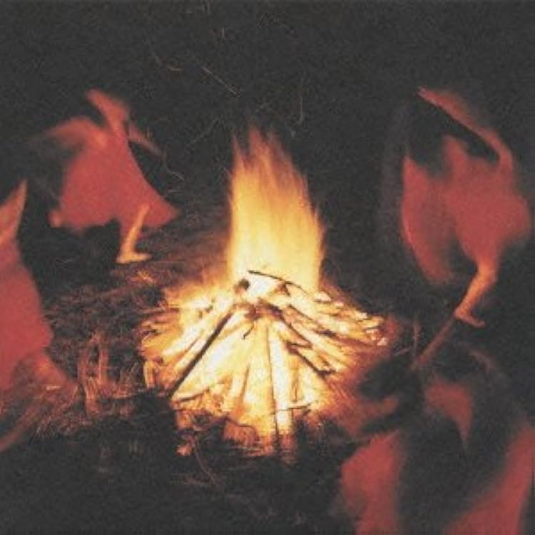 Plenty – いのちのかたち アナログレコード LP plenty いのちのかたち レコード アナログ盤