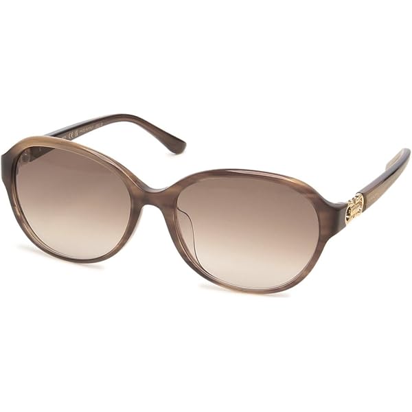 Salvatore Ferragamo ブラウンサングラス 中古・古着通販】Salvatore Ferragamo (サルヴァトーレ