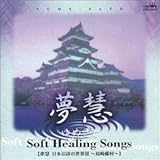 �\�t�g�E�q�[�����O�E�\���O-���{�̎��̐��E�V�`���蓡���`-