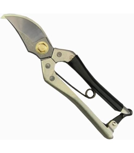 Amazon | 国久光 植木鋏A型 250mm 3173 | 園芸用はさみ