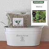 ベビーリーフ（西洋七草）の栽培セット/標準セット（液体肥料無し）プランターホワイト仕様