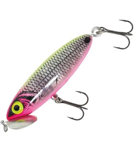 Amazon.co.jp: ボンバダ ジャララカ 68 BOMBADA Jararaca : スポーツ