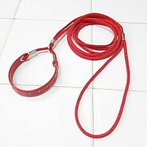 Amazon Skipdog スターラインプチインリード レッド チワワ 小型犬 細い リード ノーブランド品 リード 通販