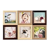 キシマ ブラン ベビーフレーム ブラウン 6窓 KP-31403