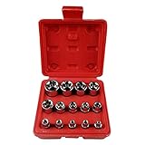 B Blesiya 14個　1/4インチ　3/84インチ 1/24インチ　Eソケットセット　スターメス　ソケット　収納ケース　修復ツール