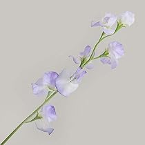 Amazon｜造花 スイートピー 10本 フェイクフラワー リアル 北欧