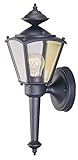 Boston Harbor 4003H-53L 1-Light Coach Lantern, Black [並行輸入品]