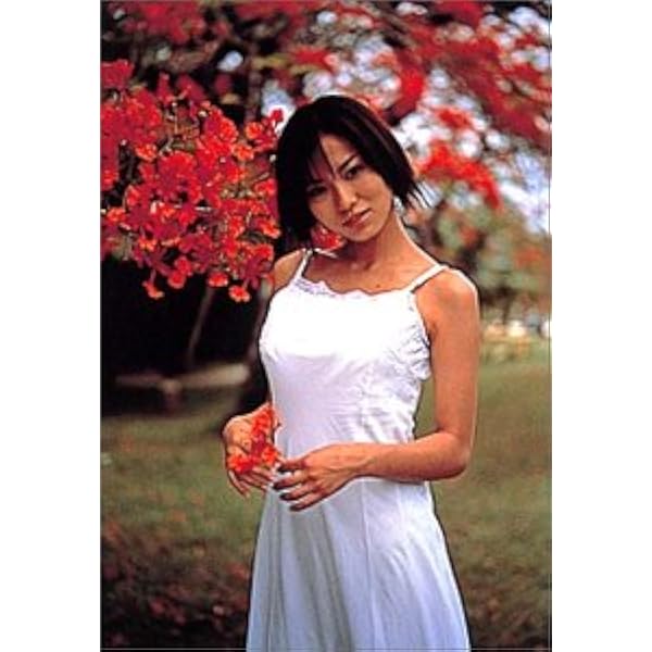 市川由衣 DVD 非売品　3部 駿河屋 -<中古>市川由衣 / うれし、恥ずかし、大ジャンプ!（一般