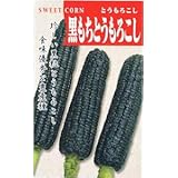 日本タネセンター 黒もちとうもろこし