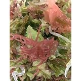 国内産　海藻サラダ（300ｇ）