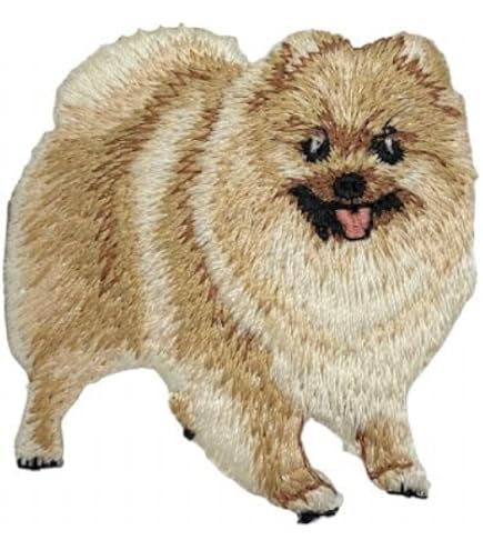 Amazon | 犬のワッペン シール＆アイロン両用接着 035ポメラニアン