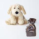 メモリアルギフト 洗えるぬいぐるみ ミンクプラッシュ 犬　ベージュ (通常大人ラッピング)