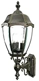 Dolan Designs 953-20 Roseville Outdoor Wall Light, 24", Antique Bronze [並行輸入品]