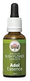 ブッシュフラワーエッセンス アドル30ml