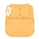 bumGenius Freetime All-In-One One-Size Snap Closure Cloth Diaper - Clementine by bumGenius [並行輸入品]
