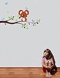 Pop Decors PT-0150-Vc Beautiful Wall Decal Cute Koala Bear [並行輸入品]