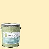 Inspired Eggshell Interior Paint, Grain .01, Gallon [並行輸入品]