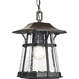 Progress Lighting P5579-84 One-Light Hanging Lantern, 8.5-Inch by Progress Lighting