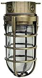 Woods L1706AB Traditional 100W Incandescent Weather Industrial Light, Ceiling Mount, Antique Brass [