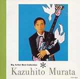 BIG ARTIST BEST COLLECTION ���c�a�l