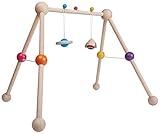 PLANTOYS  5246 ベビージム