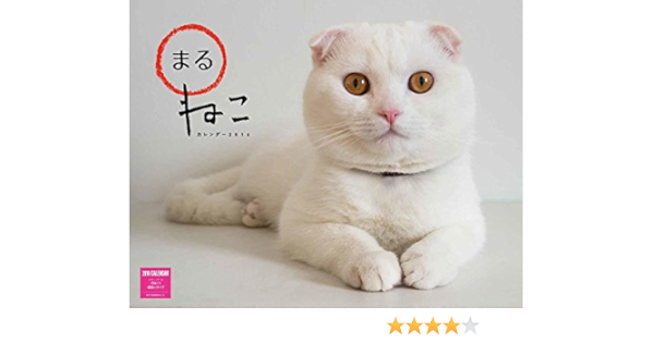 Amazon Co Jp まるねこ カレンダー16 文房具 オフィス用品