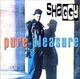 �����L�������C�i!!�`�s���A�E�v���W���[