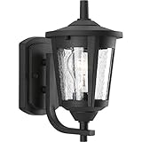 Progress Lighting P6073-31 Contemporary/Soft 1-100W Med Wall Lantern, Black [並行輸入品]