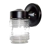 Acclaim 100BK Builder's Choice Collection 1-Light Wall Mount Outdoor Light Fixture, Matte Black [並行輸