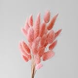 【Blooming＆me】フラワーデザイナーおすすめ！ ドライフラワー マシュマロ パステル ハニーテール 20g【選べるカラー全3色】 (ピーチ)