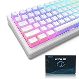 Womier プリンキーキャップ、PBT シャインスルーキーキャップ 165キーセット カスタムキーキャップセット OEMプロファイル 100%、75%、65%、60%キーボードのユニバーサル互換性