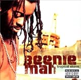 �g���s�J���E�X�g�[��