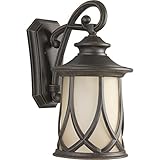 Progress Lighting P5989-122 Resort Collection 1-Light Wall Lantern, Aged Copper [並行輸入品]