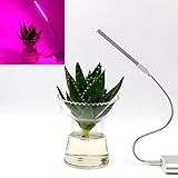 5 V 2.5 W 10 赤 4 青のポータブル USB ホームオフィスガーデン温室効果の LED 植物成長灯