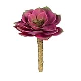 人工多肉植物Bright Fuchsia Echeveriaロゼット5インチ