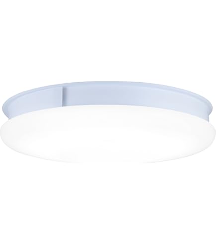 Amazon.co.jp : スワン電器 UZUKAZE3 除菌・脱臭機能付、羽の